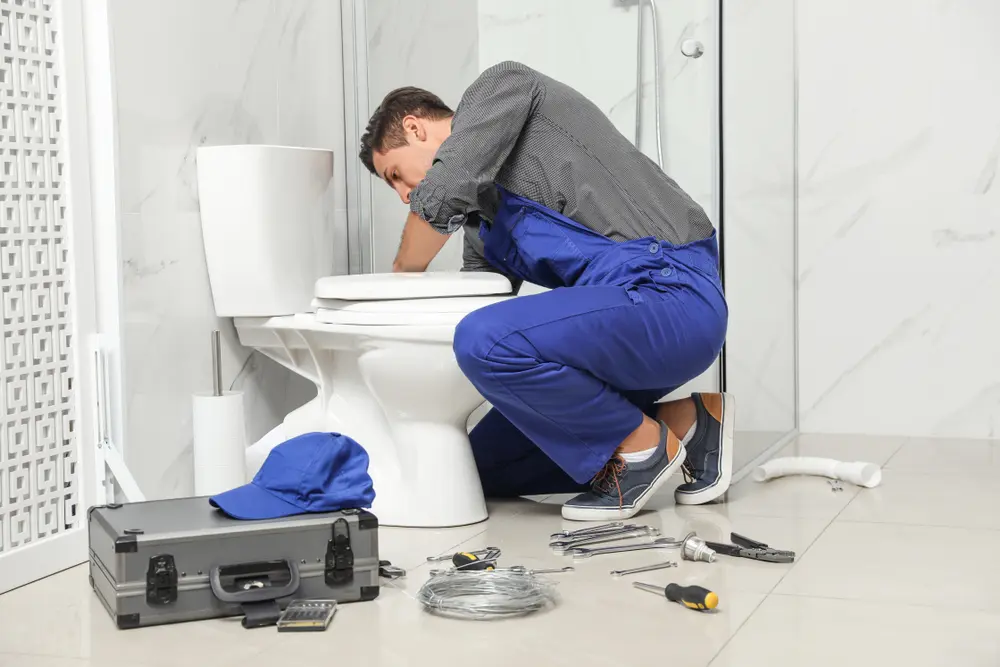 Toilet Installation in Highland